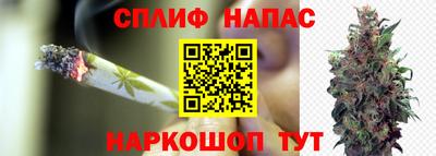 гидра Гусь-Хрустальный