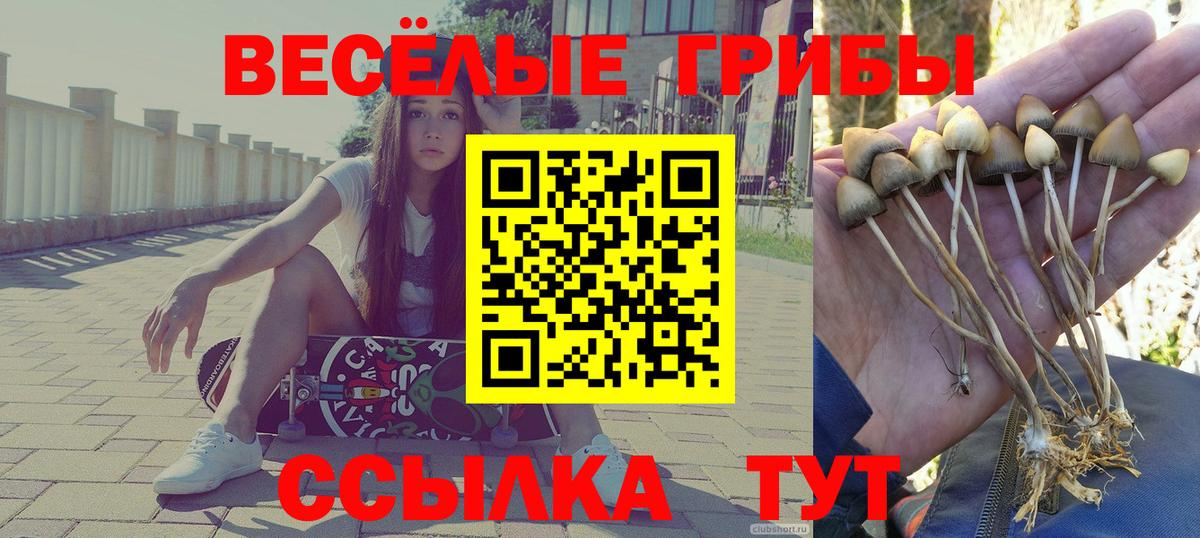 Псилоцибиновые грибы мицелий Ноябрьск