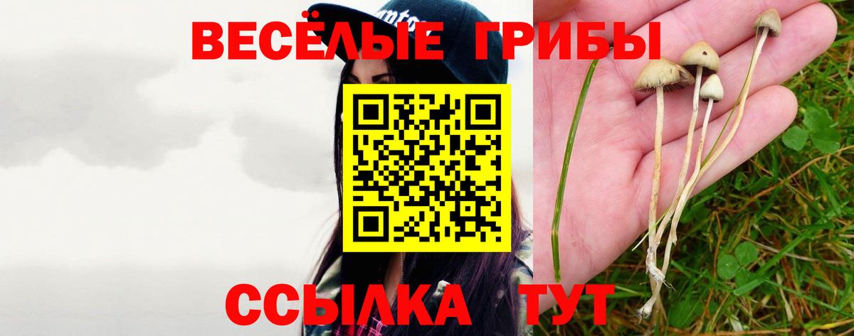 Ноябрьск  Псилоцибиновые грибы Psilocybe  где продают   Вход с VPN  Псилоцибиновые грибы MAGIC MUSHROOMS 
